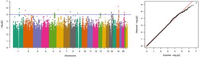 Genome-wide association study in patients with posterior urethral valves